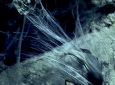 File:LOTR-ENV3S014.0 portrait.jpg