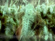 File:LOTR-ENV3S022.0 portrait.jpg