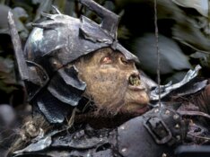 File:LOTR-ENV3S098.0 portrait.jpg