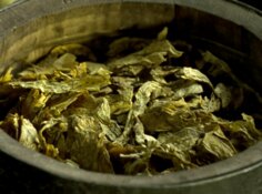 File:LOTR-ENV3S106.0 portrait.jpg