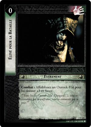 LOTR-FR01S121.0 card.jpg