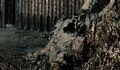 Thumbnail for version as of 05:50, 26 September 2021